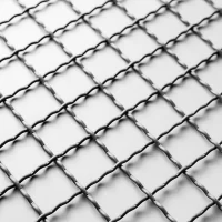 Double crimped wire mesh in Punjab